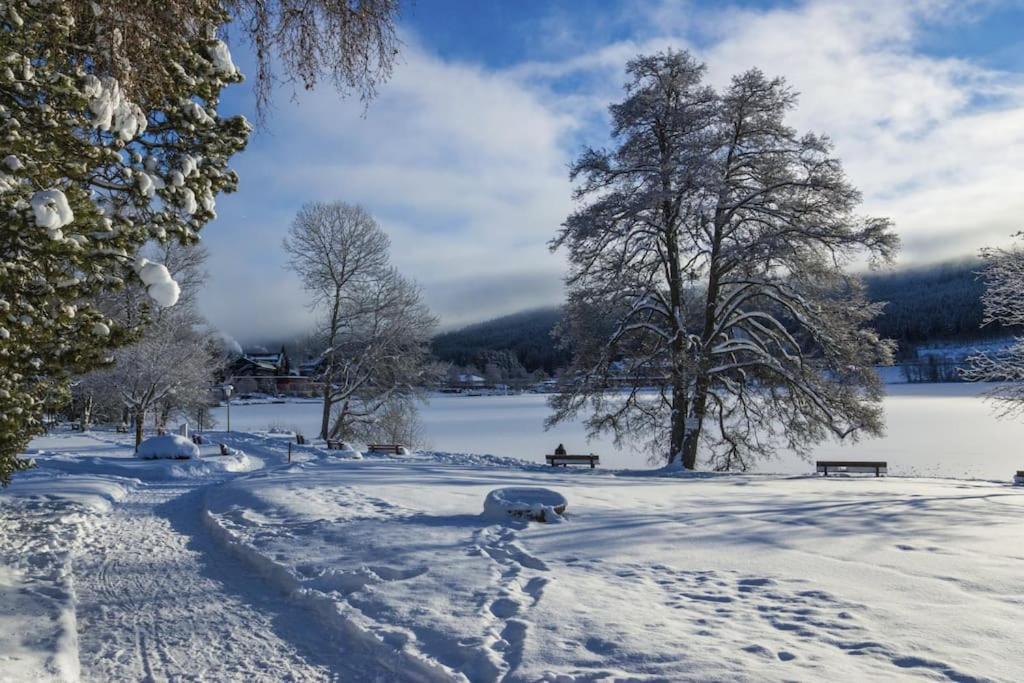 Waldklang Titisee Экстерьер фото