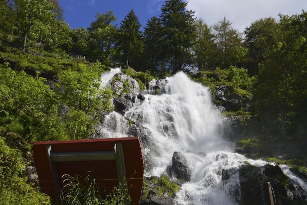Waldklang Titisee Экстерьер фото