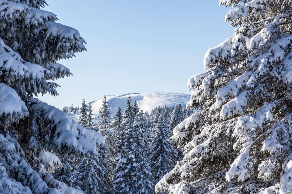 Waldklang Titisee Экстерьер фото